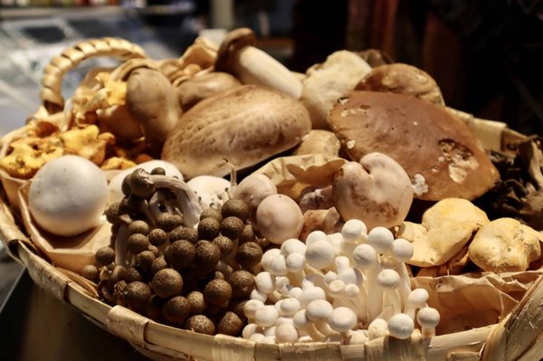 Comment choisir son cabinet d'expertise comptable à Paris ?